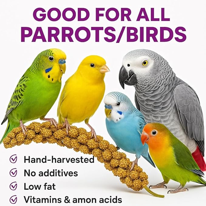 Birds LOVE 5lbs French Kissed Spray Millet for Birds – Harvested in France & Packed in The USA – 100% Natural & Sun‑Dried Millet Spray for Parakeets, Cockatiels, Conures, Parrots & Budgies