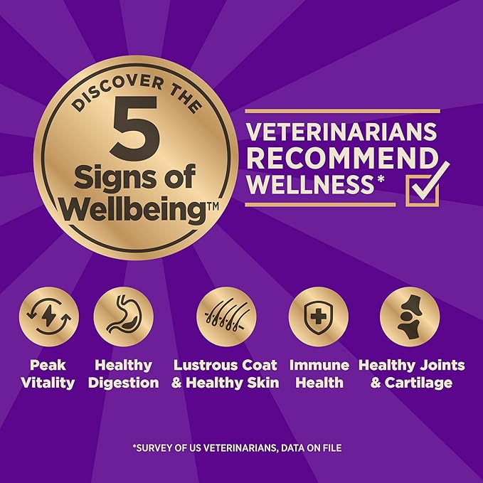 Wellness CORE Healthy Weight Small Breed Adult Dry Dog Food, Grain Free Kibble, Natural, High Protein, Turkey and Chicken Recipe, 4 lb Bag