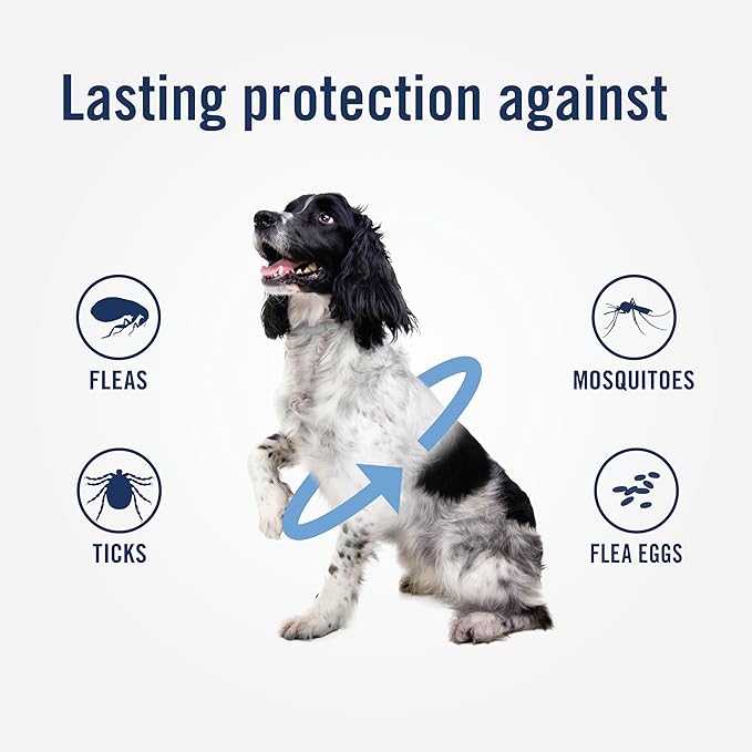 PetArmor Plus Flea & Tick Collar for Dogs, Kills Fleas & Ticks, Long Lasting Protection for 6 Months, Water Resistant, One Size Fits All, 1 Collar
