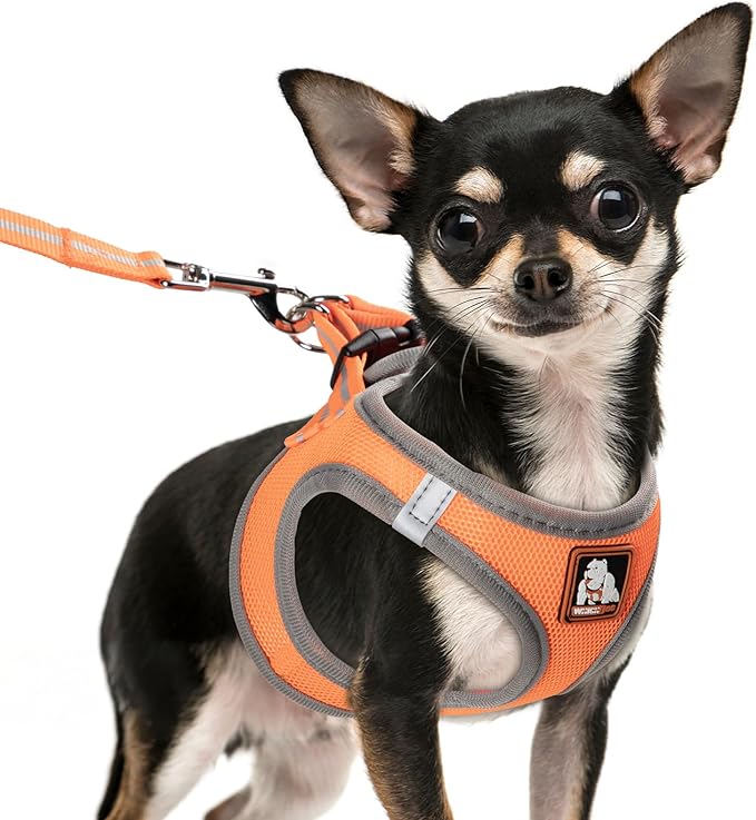 Dog Harness Medium Sized Dogs, Puppy Harness and Leash Set for Training, Running, Walking, Suitable for Small and Medium Dog Vest, Orange, XS