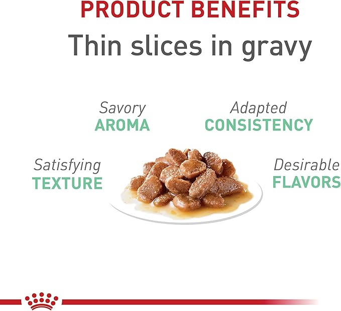 Royal Canin Feline Care Nutrition Digestive Care Adult Thin Slices in Gravy Cat Food, 3 oz (Pack of 24)