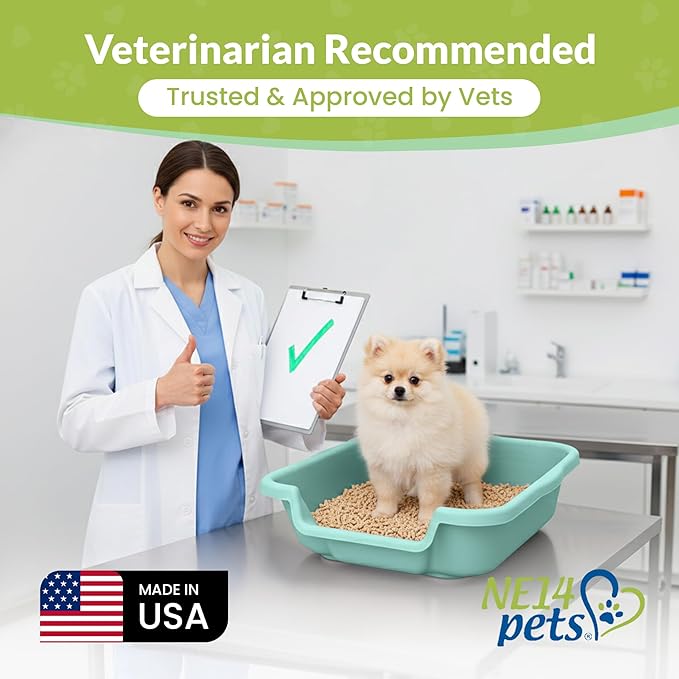 Dog Litter Box, Green Color, Small Size, Durable & Pet Safe Puppy Litter Box, Indoor Open Top Entry Dog Litter Pan, Comfortable for Dogs, Great for Small Dogs up to 6 lbs (2 Pack)