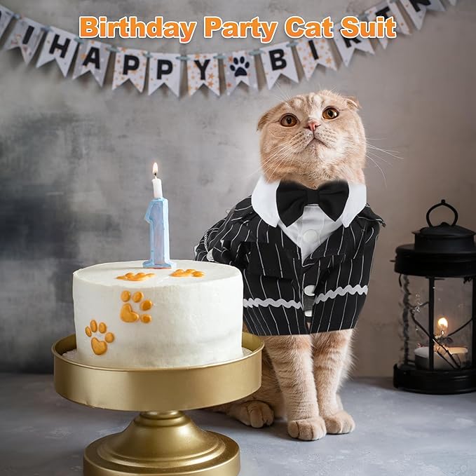 Cat Apparel, Stylish Tuxedo Outfit for Kitty with Tie, Black Stripes Pet Outfits for Wedding, Birthday, Party, Medium