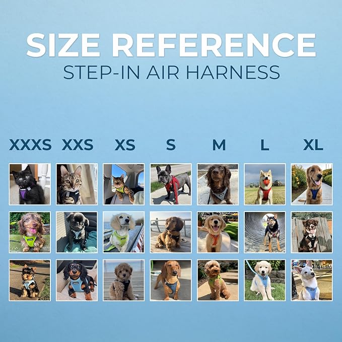Best Pet Supplies Voyager Step-in Air Harness - All Weather Mesh, Reflective, No Pull Harness for Dogs, Cats - Secure with Hook & Loop Fastener, Buckle, Double D-Rings - Blue, M
