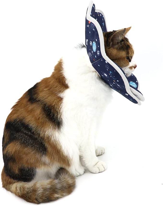 Soft Cat Cone, Adjustable Recovery Collar After Surgery to Prevent Licking Wound, Protective Cat Neck Cone, Comfortable Pet Elizabethan Collar for Cats Kittens and Puppies (M)
