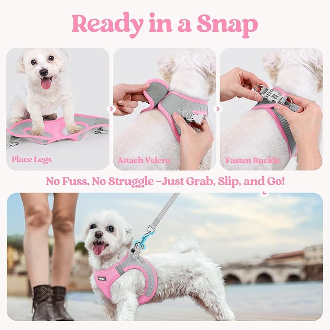 rabbitgoo Dog Harness Small Sized and Leash Set, Step in Soft Light Puppy Vest, Breathable Mesh Pet Harness, Reflective for Safe Easy Walking, Pink & Gray M