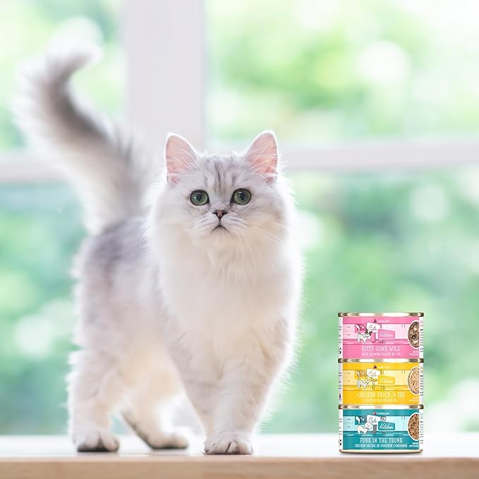 Weruva Cats in The Kitchen, Funk in The Trunk Wet Cat Food, 10oz Can (Pack of 12)