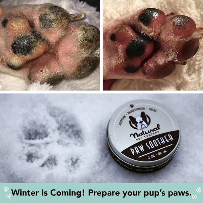Natural Dog Company Paw Soother Balm & Wax - Dog Paw Balm & Moisturizer for Dry, Cracked Paw Pads, Helps Moisturize & Condition Winter-Worn Paws, Coconut Oil & Calendula, Daily Paws Care, 2 oz Tin