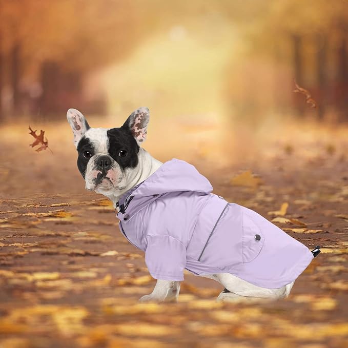 Morezi Dog Zip Up Raincoat with Reflective Buttons, Rain/Water Resistant, Adjustable Drawstring, Removable Hood, Raincoats with Legs 8lbs to 80lbs Available - Purple - XXL