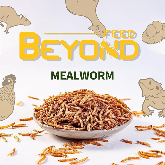 BeyondFeed™ Dried Mealworms - Premium High-Protein Feed for Chickens, Ducks, Birds, Reptiles, Fish, Hamster, Turtles and More (1.23 oz/ 35g)