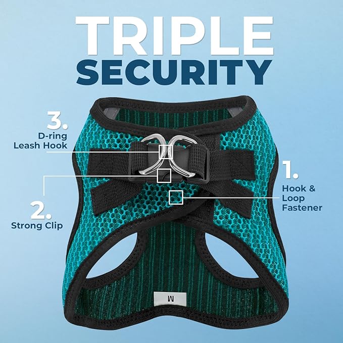 Best Pet Supplies Voyager Step-in Air Harness - All Weather Mesh, Reflective, No Pull Harness for Dogs, Cats - Secure with Hook & Loop Fastener, Buckle, Double D-Rings - Turqupise 2-Tone, S
