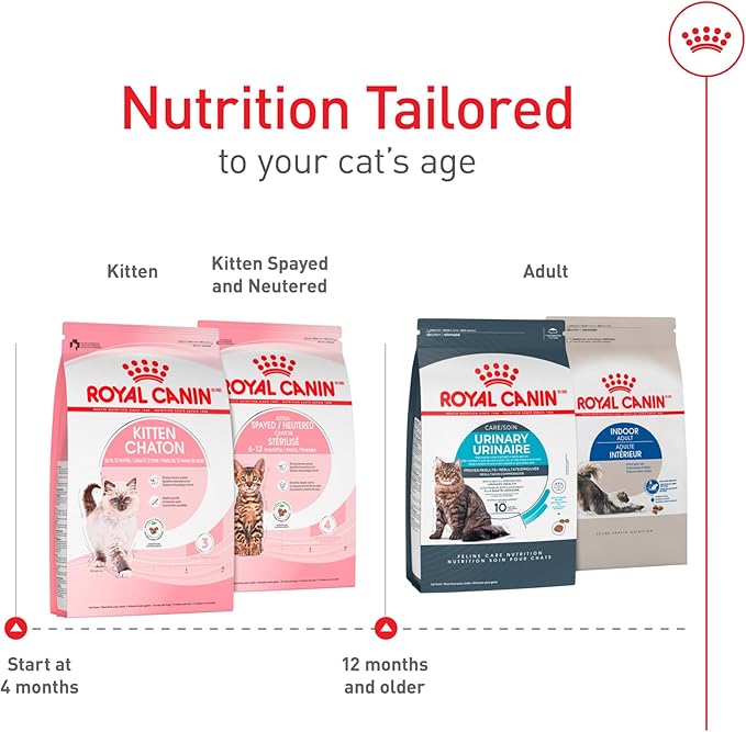 Royal Canin Feline Health Nutrition Kitten Dry Cat Food, 3 lb Bag