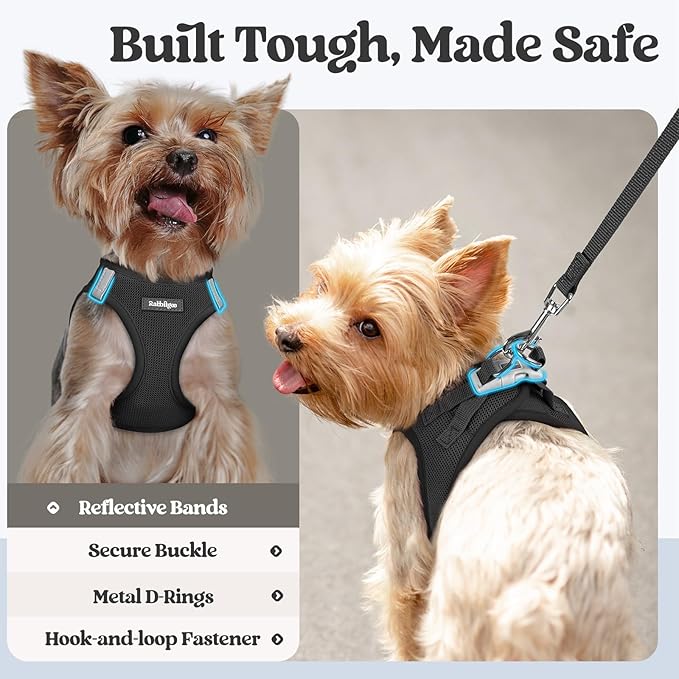 rabbitgoo Dog Harness Small Sized and Leash Set, Step in Soft Light Puppy Vest, Breathable Mesh Pet Harness, Reflective for Outdoor Safe Walking, Black XXXS