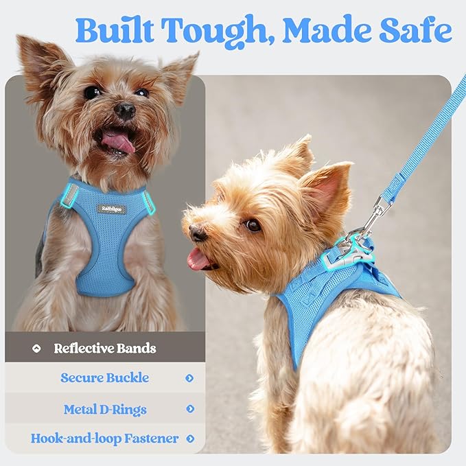 rabbitgoo Dog Harness Small Medium Sized and Leash Set, Step in Soft Light Puppy Vest, Breathable Mesh Pet Harness, Reflective for Safe Easy Walking, Blue L