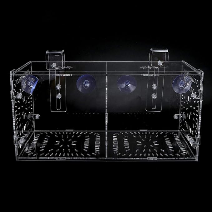 EVTSCAN Aquarium Breeder Box for Fish Tank, Fish Breeding Box Tank Hatchery Incubator Aquarium Isolation Box for Seedlings Incubation(M)