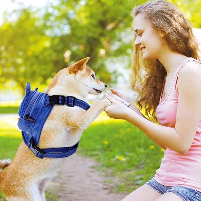 Dog Harness with Backpack, Adjustable Dog Backpack Harness for Small Medium Dogs, No-Pull Breathable Backpacks for Dogs to Wear, for Traveling, Hiking, Camping, Training, Blue S