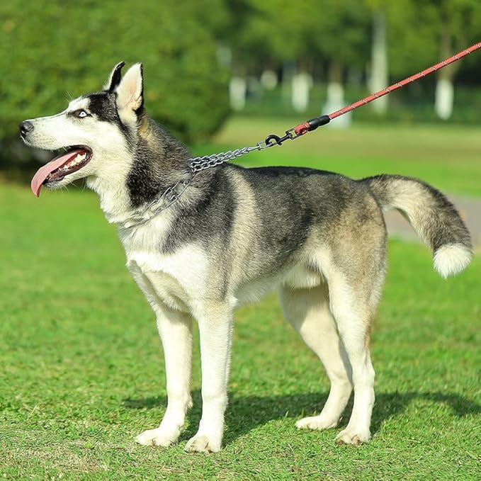 CBBPET Dog Prong Collar, Adjustable Dog Training Collar with Quick Release Buckle for Small Medium Large Dogs (Silver, M/3.0mNeck: 16"-18'' Weight:50 lbs)