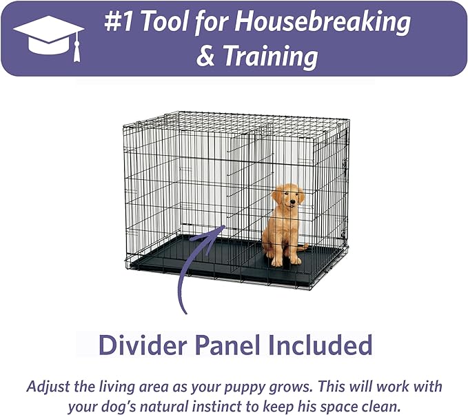 MidWest Homes for Pets 42-Inch iCrate for Large Breeds, 71-90 lbs, Single Door Folding Dog Crate with Divider Panel, Leak-Proof Tray & Secure Latch, Portable, Durable & Easy to Assemble