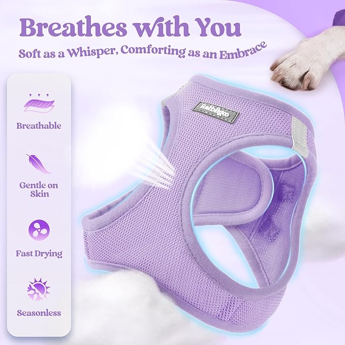 rabbitgoo Dog Harness Medium Sized and Leash Set, Step in Soft Light Puppy Vest, Breathable Mesh Pet Harness, Reflective for Safe Easy Walking, Light Purple XXL