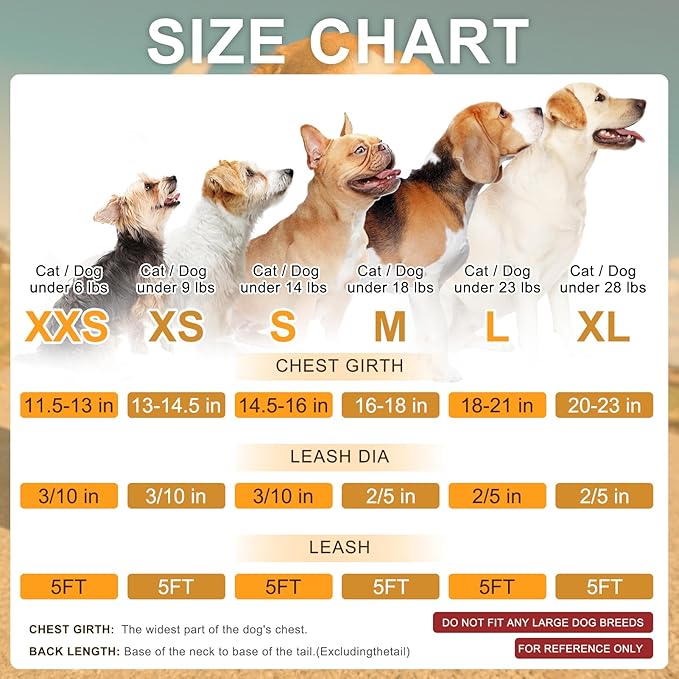 BEAUTYZOO Small Dog Harness and Leash Set,Step in No Choke No Pull Soft Mesh Dog Harnesses Reflective for Extra-Small/Small Medium Puppy Dogs and Cats, Plaid Dog Vest Harness for XS S Pets, Red M