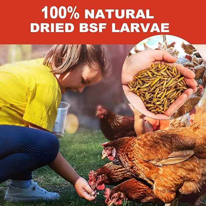 5.5LB Dried Black Solider Fly Larvae, BSFL is High Protein Chicken Feed with 85x More Calcium Than Dried Mealworms, Poultry Treats, Chickens Love, Birds Love, Hens Love, Ducks Love