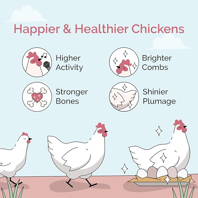 Mile Four Organic Chicken Feed (46 lbs) Layer Pellet, Non-GMO, USA Grown, 16% Protein, Corn-Free, Soy-Free, Non-Medicated Feed for Chickens