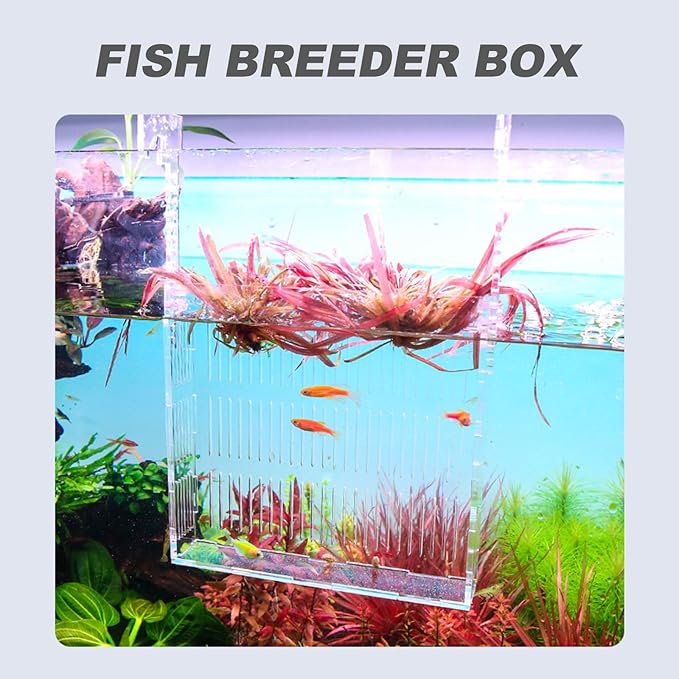 COHEALI Hanging Fish Isolation Box Acrylic Guppy Breeding Separator Aquarium Nursery Fry Tank Medium Size for Aquarium Fish and Mini Parrot Breeding
