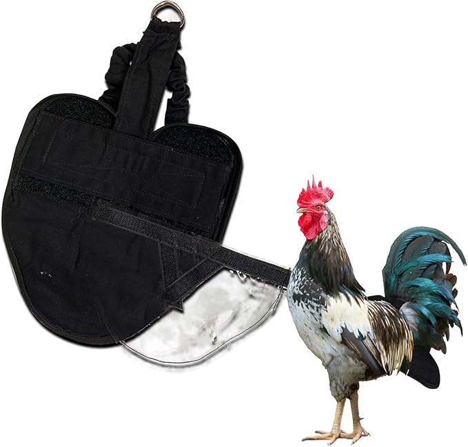 Hen Holster Wrap-Around Bird Diaper & Harness for Hens, Roosters, Ducks, Geese - with Removable Vinyl Liner, Adjustable Fit for Outdoor Adventures & Indoor Use - Easy to wear - Large, Black