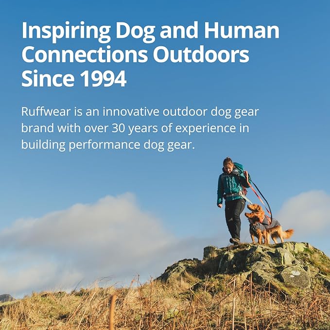 Ruffwear Palisades Dog Backpack, Multi-Day Pack with Removable Saddlebags, Breathable Adjustable Harness, Reflective Trim, Glacier Lake, Small