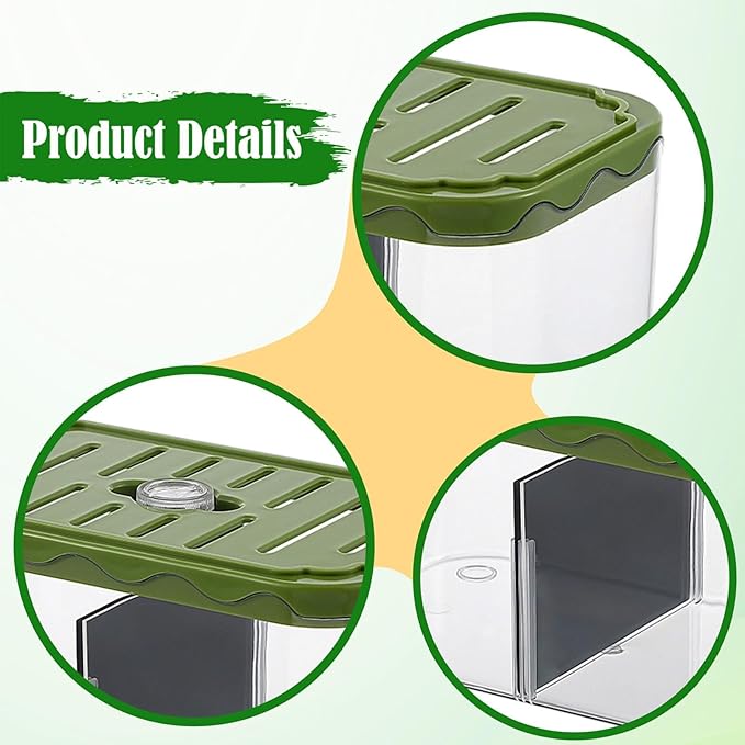 Fish Breeding Box Aquarium Tank Hatchery Container with Removable Divider Made from Transparent PET Material Suitable for Home Off, Green