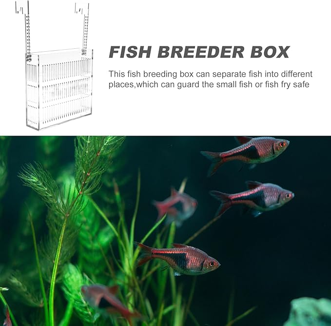 Fish Breeding Box for Aquariums Lightweight Isolated Breeder Tank Viewing for Guppies and Newborns Easy to Install Hanging Design