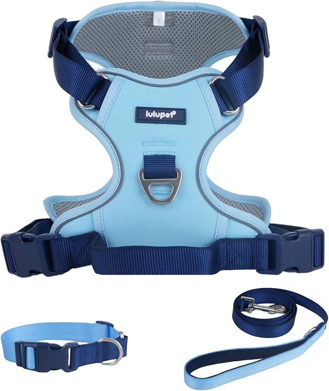 No Pull Dog Harness Leash and Collar Set, Soft Adjustable Dogs Vest Reflective and Comfortable Handle Blue Small