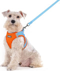 rabbitgoo Dog Harness Medium Sized and Leash Set, Step in Soft Light Puppy Vest, Breathable Mesh Pet Harness, Reflective for Safe Easy Walking, Blue & Orange XXL