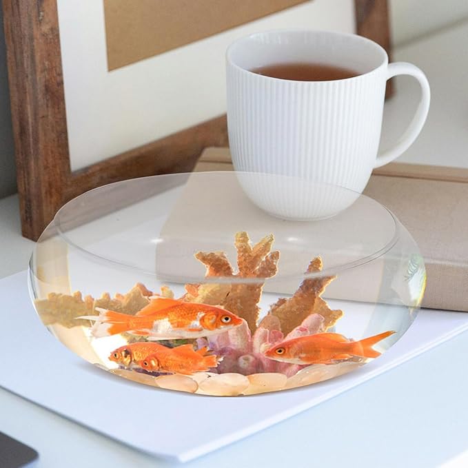 SUPVOX Glass Daffodil Pot 9.84 Inch Clear Round Fishbowl Planter Hydroponic Aquarium Bowl for Succulent Plants Home Garden Decoration