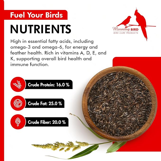 Morning Bird Nyjer Seed for Birds 4.5 lbs (3-Pack, 1.5 lbs Each) – Rich in Natural Healthy Fats – Ideal for Breeding & Molting – Premium Bird Food for Canaries and Other Seed-Eating Birds