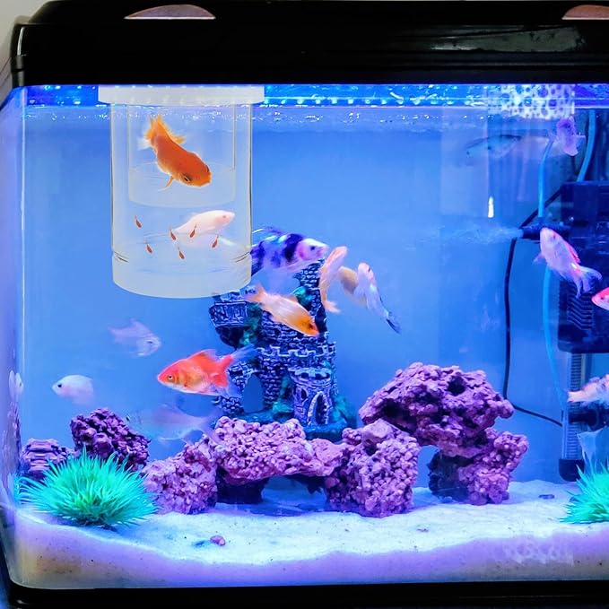 Beaupretty Aquarium Floating Fish Breeder Box Small Incubator with Coarse and Fine Mesh Nets White Set Isolation Hatchery for Guppy Betta Shrimp Fry Tank Separation