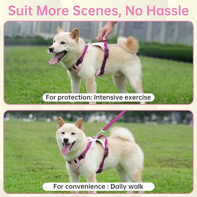 No Pull Dog Harness Leash and Collar Set, Soft Adjustable Dogs Vest Reflective and Comfortable Handle Pink Medium
