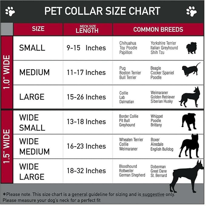 Initial Letter Cuban Chain Dog Chain Pet Chain Pet, Cat, Puppy Necklace (D, 10")
