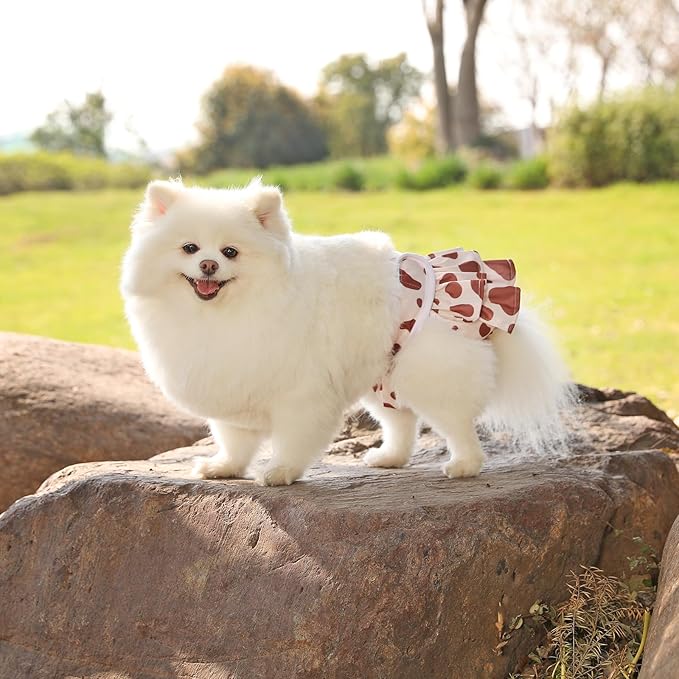 Reusable Dog Diapers Female 3 Pack Doggie Diapers for Period Heat Incontinence Puppy Training (X-Small, Animal Print)