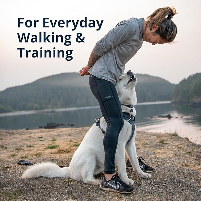 Ruffwear, Front Range Dog Harness, Reflective Soft Padded Everyday Harness with Dual Leash Clips, Adjustable and Lightweight Fit for Training or Walking for All Dogs, Moonlight Mountains, X-Small
