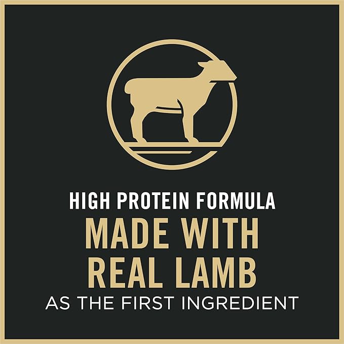 Purina Pro Plan Sensitive Skin and Stomach Cat Food, Lamb and Rice Formula - 7 lb. Bag