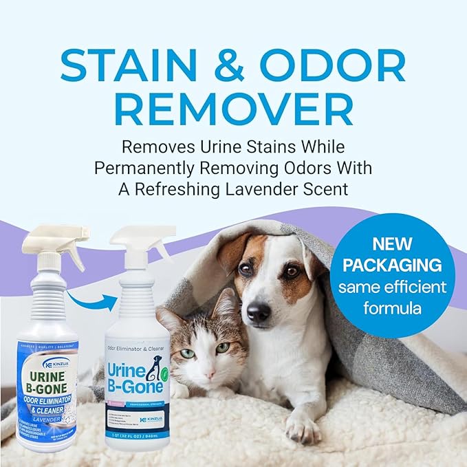 Urine B-Gone, Professional Enzyme Odor Eliminator & Pet Stain Remover, Human, Cat & Dog Urine Cleaner, Effective on Laundry, Carpets & More, Lavender Scent, 32oz, Pack of Two