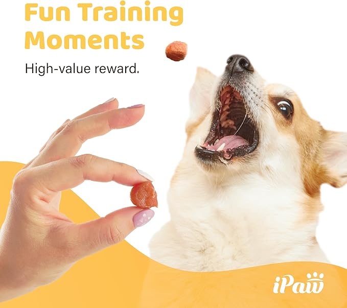 iPaw 5 Stock-Up Combo Chicken Tots Dog Treats for Puppy Training, All Natural Human Grade Dog Treat, Hypoallergenic, Easy to Digest (Chicken Tots), 5 Packs