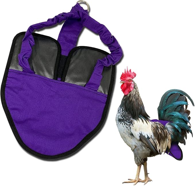 Hen Holster, Wrap-Around Chicken Diapers, Comfy Chicken Diapers for Hens & Roosters, US-Made Chicken Diaper, Must-Have Chicken Accessories, with Sewn-in Liner, XL, Purple - Crazy K Farm