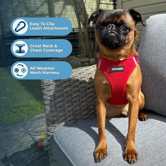 Best Pet Supplies Voyager Step-in Air Harness - All Weather Mesh, Reflective, No Pull Harness for Dogs, Cats - Secure with Hook & Loop Fastener, Buckle, Double D-Rings - Red, XL