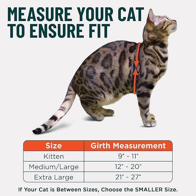 Houdini™ Escape Proof Cat Harness and Leash Set by OutdoorBengal – Orange, Medium Cat Harness for Walking