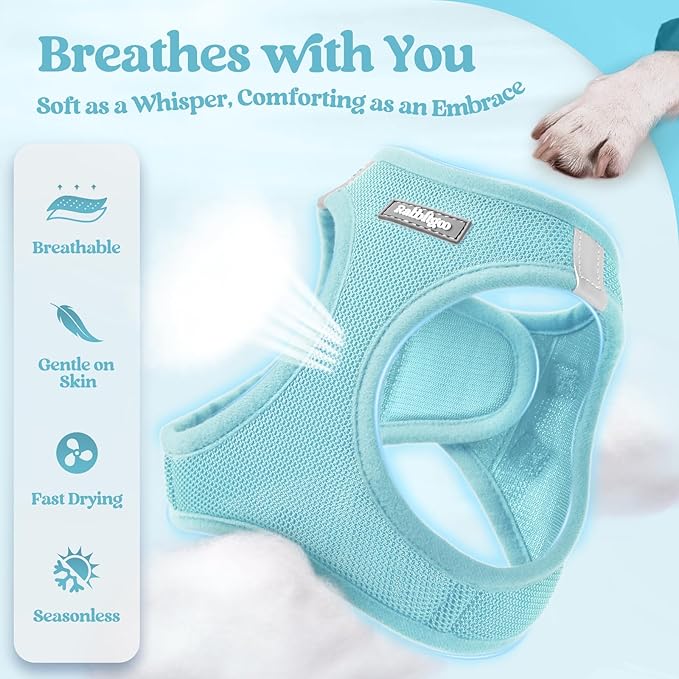 rabbitgoo Dog Harness Small Medium Sized and Leash Set, Step in Soft Light Puppy Vest, Breathable Mesh Pet Harness, Reflective for Safe Easy Walking, Mint Blue L