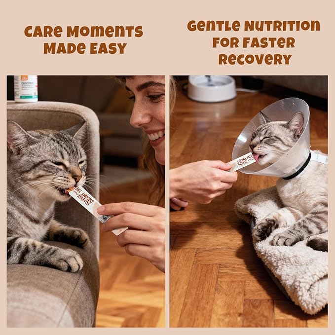 Havira Healthy Lickable Creamy Cat Treats Digestion Support – Chicken Recipe Squeeze Treats with probiotics & Lactic Cultures, Creamy Functional Snacks for Gentle Digestion & Daily Comfort, Grain Free