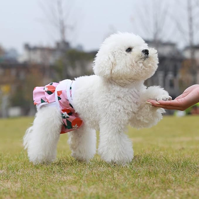 Reusable Dog Diapers Female 3 Pack Reusable Premium Highly Absorbent Doggie Diapers, Flexible Puppy Diapers, Durable Leak-Proof Fruit Dog Diapers for Period Heat Incontinence Puppy Training, M