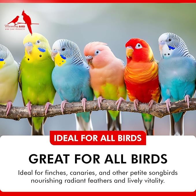 Morning Bird Feather Glo 4 oz – Cold Pressed Red Palm Oil - Natural Vitamin A & E Supplement for Birds – Supports Feather Shine, Skin Health & Immunity – Vitamin & Energy Boost for All Bird Types